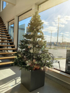 craft nessにもChristmas treeが！